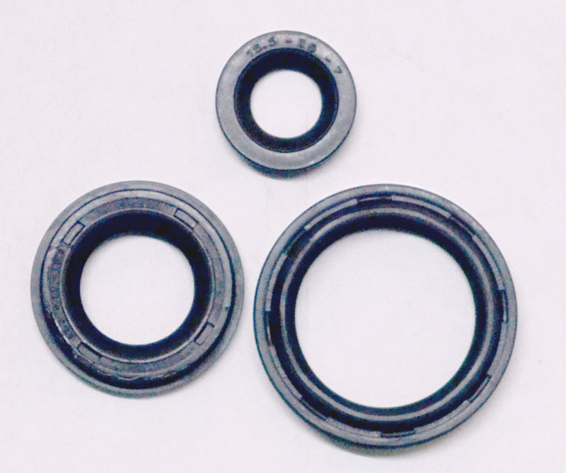 Image of Gear Box Big oil seal for Ace of Tata having size 38 x 48 x 10/14, sku AC38GB01.