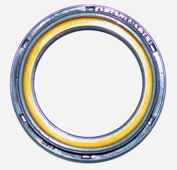 Image of Front oil seal for Dost of Leyland having size 48 x 62 x 7/20, sku DO48FR01.
