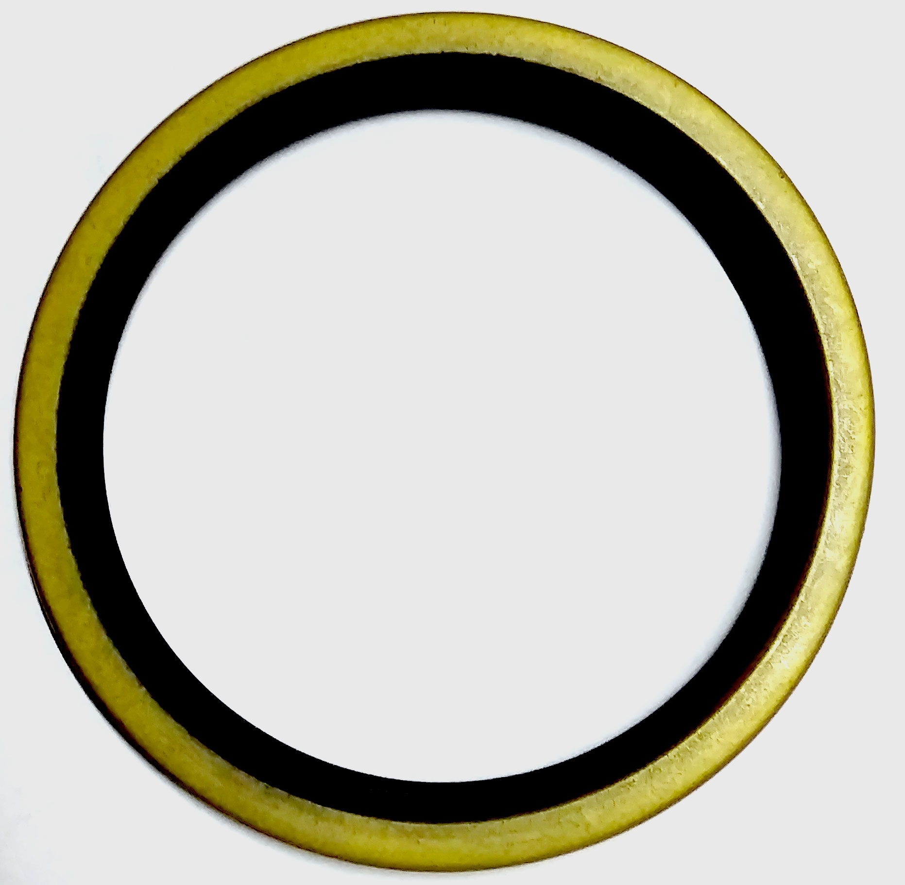 Image of Front SKF Type 3118 oil seal for Tata of Tata having size 119 x 146,6 x 9/12, sku TA119FR01.